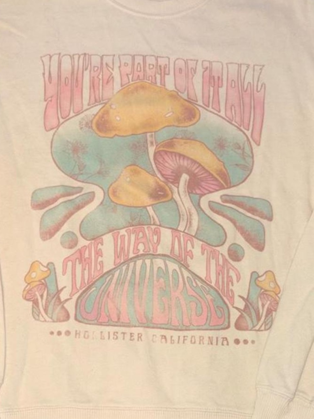 Hollister “The Way of the Universe” Mushroom Sweatshirt